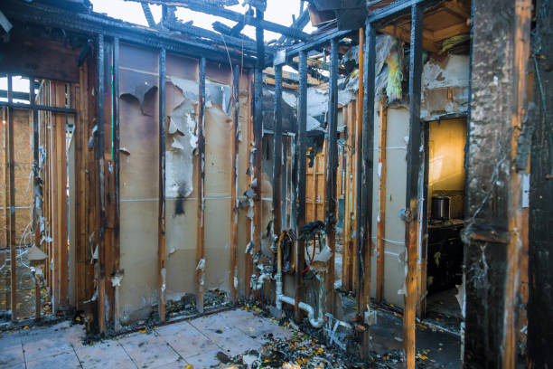 Professional Smoke Damage Removal technician working in Preston, TX